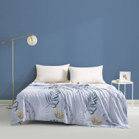 太湖雪可水洗冰氧天丝蚕丝凉被 花飞叶影 200*230cm