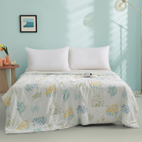 湖雪可水洗冰氧天丝蚕丝凉被 微风薄荷 200*230cm