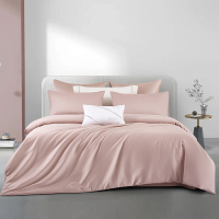 太湖雪柔棉贡缎刺绣四件套 云梦粉 200*230cm