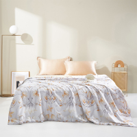 太湖雪60支天丝纯蚕丝可水洗凉被 温情北欧 200*230cm