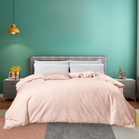 太湖雪臻享抗菌防螨桑蚕丝四季被 双宫茧桑蚕丝填充1000g 220*240cm