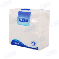 索玛-纸袋装面巾纸 塑料袋装面巾纸 D08.02.126 190X95mm 200抽/包*100包/箱