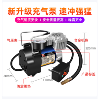 家用车载充气加气泵 220v 台