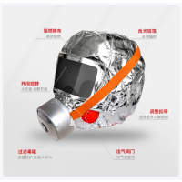 焕安 防毒面具过滤式自救呼吸器TZL30C火灾逃生面罩(标准款) 4个装
