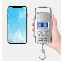 手提电子秤 便携式高精度家用 挂钩迷你小型精准弹簧秤 50kg 台