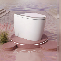 希箭AS19女性专研UV-C微气泡洗智能马桶坐便器