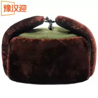 豫汉迎雷锋帽军绿