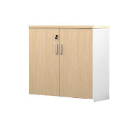 烁恒 文件柜 80*40*80CM 个