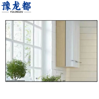 豫龙都镜子40*60个