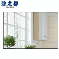 豫龙都镜子40*60个