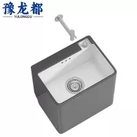 豫龙都 拖把池 40cm 个