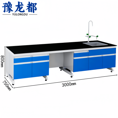 豫龙都 实验台 3米 张