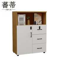 蕃蒂文件柜一门三抽台