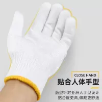 匹牧 PM-ST-G190 尼龙手套 尼龙800克 10针 12双/打 单位:打
