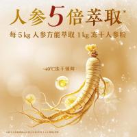 伊刻活泉现泡茶人参枸杞无糖茶饮料455ml15瓶