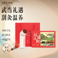 艾修堂红砭石联名款艾灸棒S2仪便携随身经络刷艾柱颈腿按摩器送礼推荐