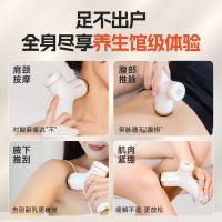 艾修堂智能砭石艾灸仪MS1刮痧棒经络刷随身艾柱肩颈按摩三伏灸器具礼盒