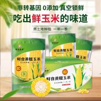 邻家饭香东北鲜食糯玉米8穗/箱黑土地金玉米带种植无食品添加剂鲜食糯玉米8穗200g*8穗