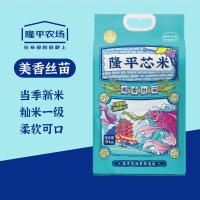 袁谷隆平芯米大米美香丝苗油粘米煲仔饭米籼米南方大米真空包装美香丝苗10斤