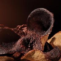 福东海15年天马陈皮250克礼盒(玻璃罐藏)新会广东特产养生茶送礼品