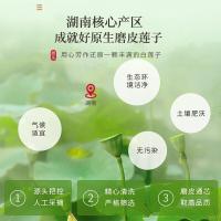 福东海莲子250克湘潭去芯磨皮白莲子搭山药干货特产煲汤材料