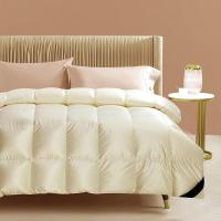 Z.M.N.出品啄木鸟超柔静音95鹅绒被-法克图