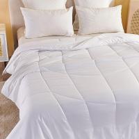 北极鹿BEIJILU夏被空调被四季被芯被褥巷西大豆被200*230cm