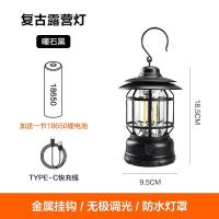 飞图乐(FTLY)复古露营灯户外帐篷灯应急LED可充电长续航夜钓灯手提灯曜石黑