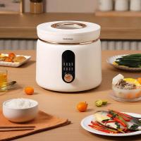 大宇(DAEWOO)电饭煲家用多功能小型宿舍电饭锅迷你可视天窗低糖饭DYFB-D240智能电饭煲2L