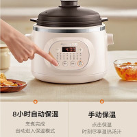 九阳电炖锅DG30Z-GD636