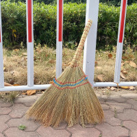 兰诗(LAUTEE)SB-0267 单个扫把 清洁植物扫把 学校工厂办公室用笤帚 白净苗 一把