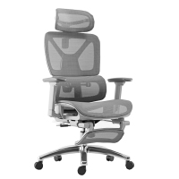 依韵珂会议椅76*53*110cm张