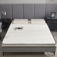 伊伊爱 CD0BN02200441 90*200*6cm 针织乳胶刺绣记忆海绵床垫 (单位:个)