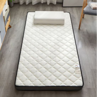 伊伊爱 CD0BN021003801 50*200cm*6cm*1 椰棕乳胶床垫 (单位:个) 白色