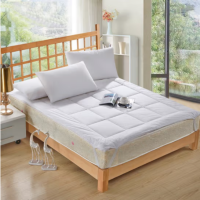 伊伊爱 QM-BCD-02 120*200cm*1 简约舒适床褥垫 (单位:个) 白色