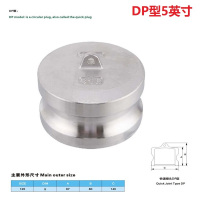 长川海比特不锈钢快速接头活接卡扣式直通气动管扳把式油管快装插接头4分-4寸 304DN125(5寸堵头公头) DP型