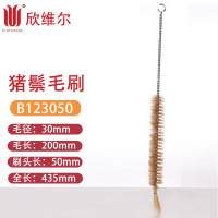SYNTHWARE B123050猪鬃毛刷 ,毛径:30MM,毛长200MM,刷头长:50MM,全长:435MM 个