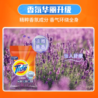 汰渍 3千克 2合1淡雅薰香洗衣粉劲爆装(单位:袋)
