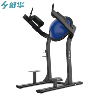 舒华(SHUA) 商用综合训练器械 多功能健身房运动器材 提腿训练器 SH-G6886