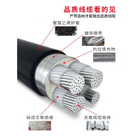爬山虎 铝电缆国标铝芯线3×35+1(1米)