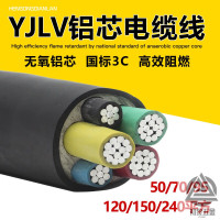 爬山虎 铝电缆国标铝芯线3×120+2(1米)