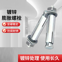 京南啄木鸟 膨胀螺丝镀锌金属胀栓 M16x150(100套)
