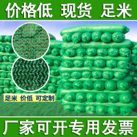 嵋里 防尘网工地盖土网绿化网加密6针8*30米1卷(8*30足针足米)