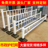 辕士 市政道路隔离栏人行道分流围栏高60*长308米(一米价格)