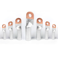 辕士 铜铝线鼻子25平方国标接线端子1只(10只起拍)