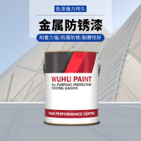 辕士 油漆钢结构金属防腐防锈防水油漆红黄蓝绿橙白黑色25KG/桶