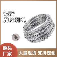 辕士 防暴阻隔网防爬网 刀片刺绳[10米] 镀锌刺网带刺铁丝网防盗防爬刺围墙防爬网双螺旋圈直径50