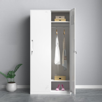 EVALIANTOP 储物柜拆装柜窄边衣物存储柜钢制衣物鞋存放柜宿舍换衣柜带锁二门 900*500*1850mm