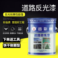 迅彩环保抗甲醛全效墙面漆 水性耐擦洗5L装 低气味家居墙面装修必备