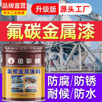 迅彩环保墙面漆全效5L装超强防霉抗碱耐擦洗家庭装修理想选择